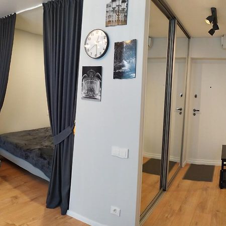 Studija Alytuje Apartment Алитус Екстериор снимка