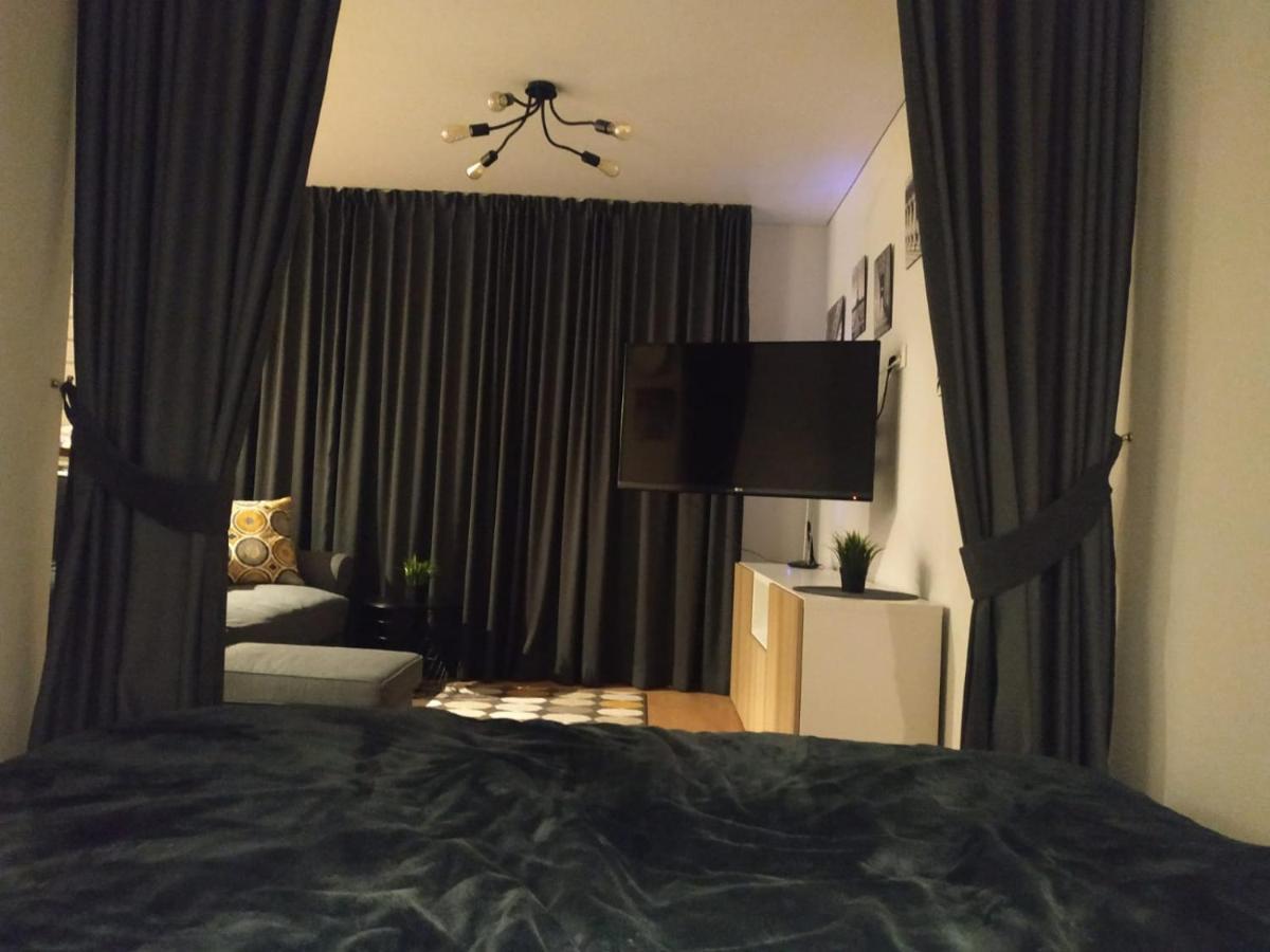 Studija Alytuje Apartment Алитус Екстериор снимка
